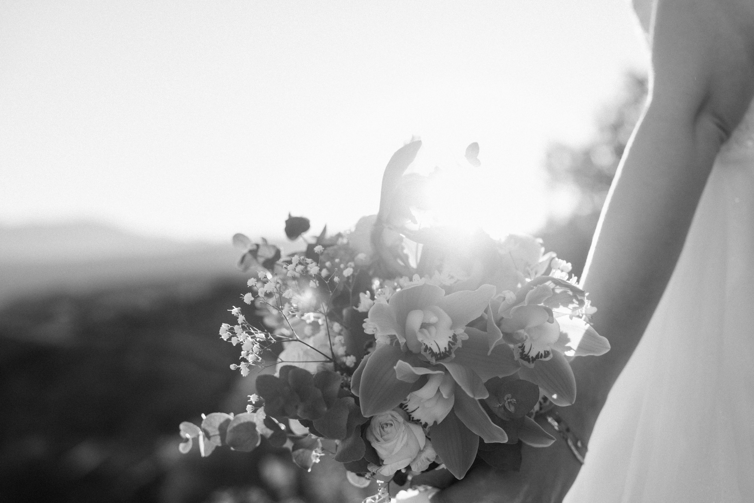 Audrey Claudie 48 scaled