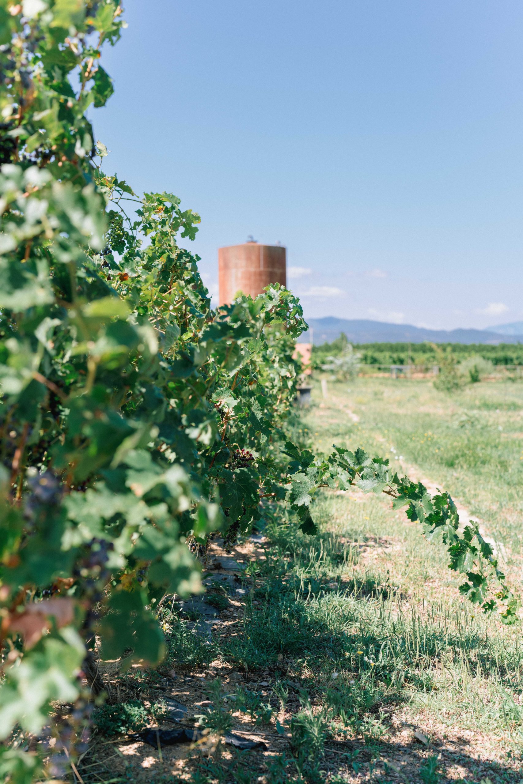 Lea Mathias 131 scaled